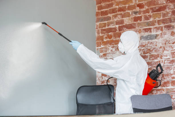 Best Environmental Consulting for Mold Prevention  in Caledonia, MN
