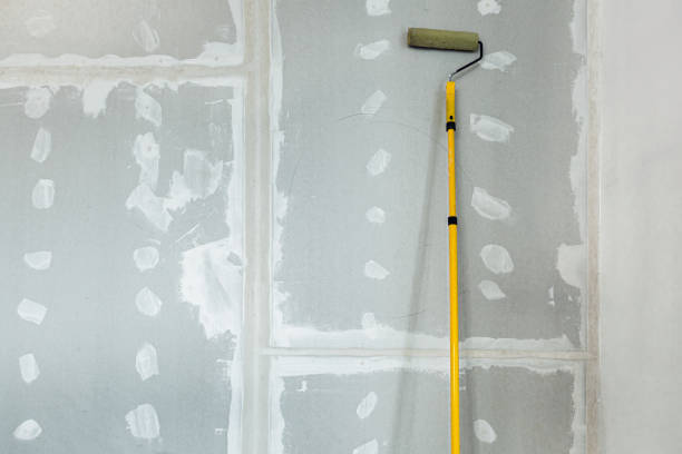 Best Mold Prevention Services  in Caledonia, MN