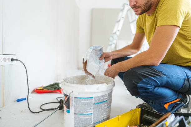 Best Black Mold Removal  in Caledonia, MN
