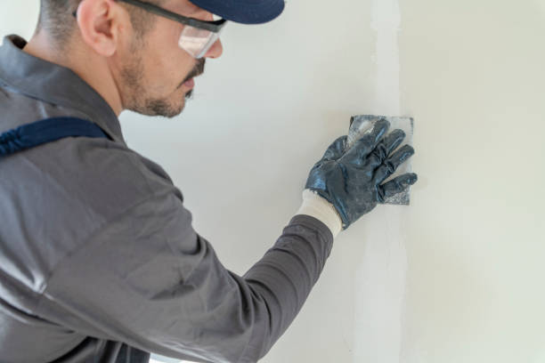 Best Dehumidification Services  in Caledonia, MN