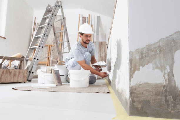 Best Crawl Space Mold Remediation  in Caledonia, MN