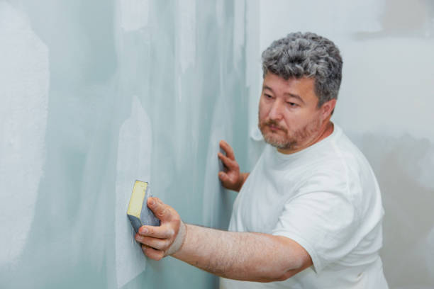Biohazard Mold Removal in Caledonia, MN