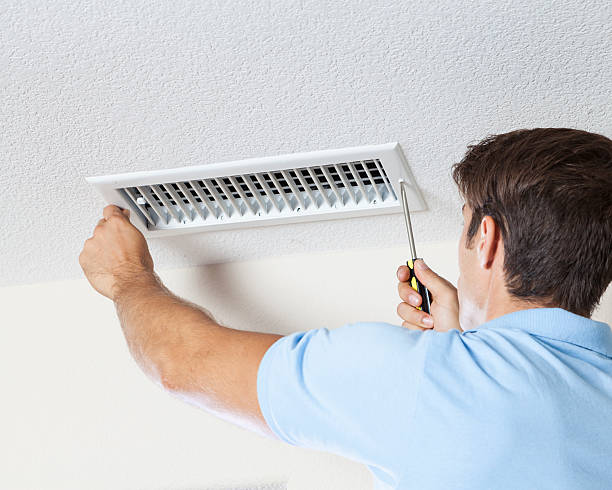 Caledonia, MN Mold Removal Company