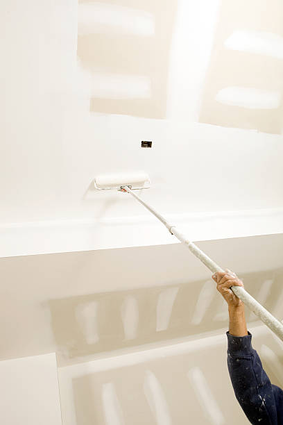 Best Comprehensive Air Testing for Mold Contaminants  in Caledonia, MN