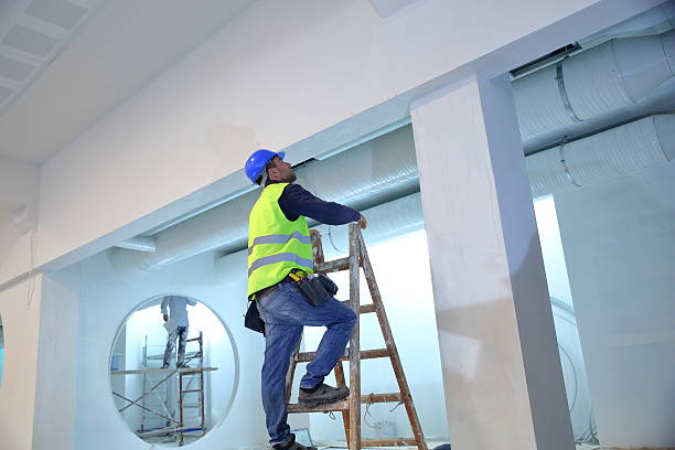 Mold Remediation for Vacation Homes in Caledonia, MN