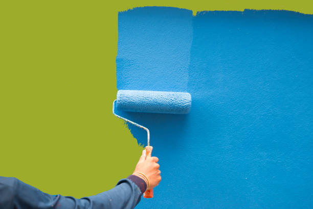 Best Water Damage & Mold Remediation  in Caledonia, MN